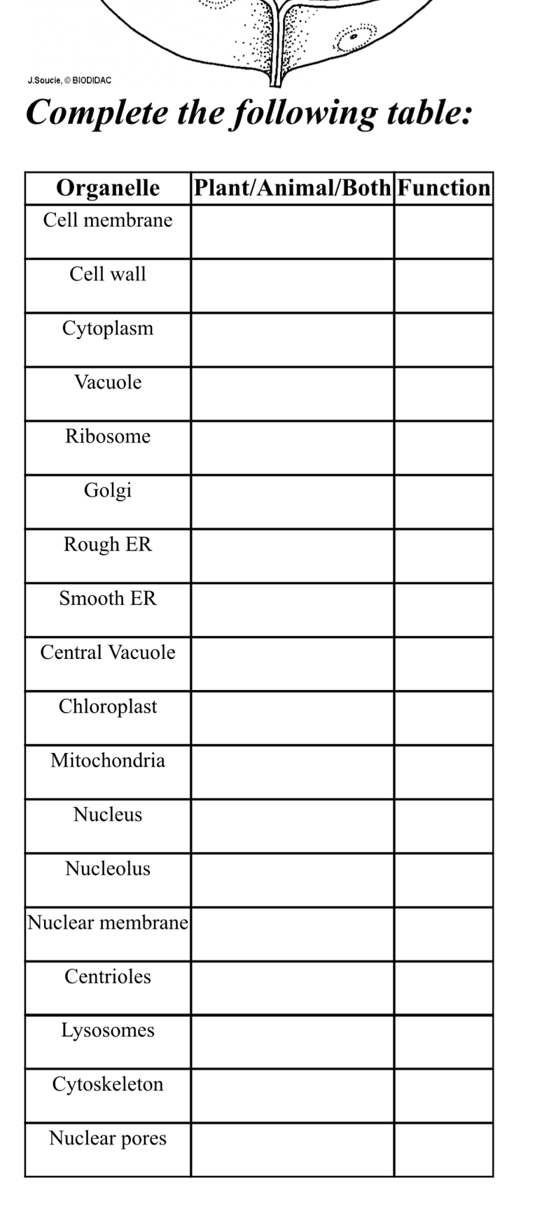 Complete the following table:
C
C
M
Nu
N