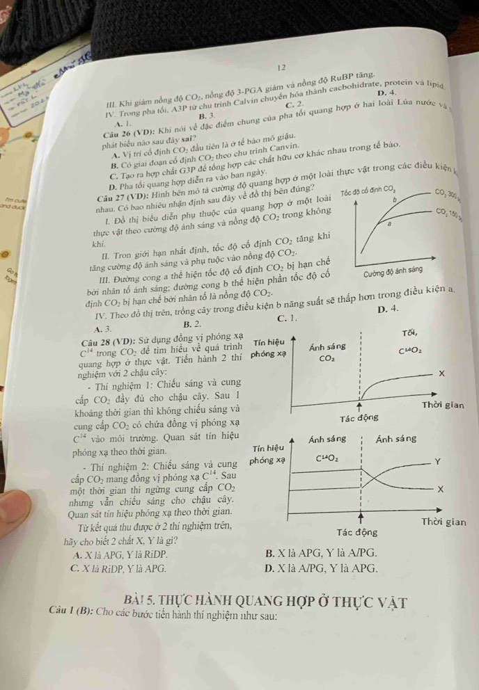 Trong pha tối, A31 chu trình Calvin chuyển hóa thành cacbohidrate, protein và lipid
== 204
III Khi giám nổng độ CO_2 , nổng độ 3-PGA giảm và nồng độ RuBP tăng.
D. 4.
A. 1. B. 3. C. 2.
Câu 26 (VD): Khi nói về đặc điểm chung của pha tổi quang hợp ở hai loài Lúa nước và ở
phát biểu nào sau đây sai?
A. Vị trí cổ định CO_2 đầu tiên là ở tế bão mô giậu.
B. Có giai đoạn cổ định CO_2 theo chu trinh Canvin.
C. Tạo ra hợp chất G3P để tổng hợp các chất hữu cơ khác nhau trong tế bào
D. Pha tổi quang hợp diễn ra vào ban ngày.
Câu 27 (VD 0: Hinh bên mô tả cường độ quang hợp ở một loài thực vật trong các điều kiện 
nhau. Có bao nhiêu nhận định sau đây về đồ thị bên đúng? 
and duck I'm cut 10 CO trong khôn
l. Đồ thị biểu diễn phụ thuộc của quang hợp ở một loà
thực vật theo cường độ ánh sáng và nồng
khi.
II. Tron giới hạn nhất định, tốc độ cổ định CO_2 tǎng kh
tăng cường độ ánh sáng và phụ tuộc vào nồng djCO_2.
Go 1
III. Đường cong a thể hiện tốc độ cổ định
bởi nhân tố ảnh sáng; dường cong b thể hiện phần tốc độ c CO_2t bị hạn ch
toget
đjnh CO_2b bị hạn chế bởi nhân tổ là nồng độ CO_2.
IV. Theo đồ thị trên, trồng cây trong điều kiện b năng suất sẽ thấp hơn trong điều kiện a
B. 2. C. 1. D. 4.
A. 3.
Câu 28 (VD): Sử dụng đồng vị phóng xạ
Tdelta i,
C^(14) trong CO₂ đề tìm hiều về quá trình Tín hiệu
quang hợp ở thực vật. Tiến hành 2 thí phóng xạ Ánh sáng C^(14)O_2
CO_2
nghiệm với 2 chậu cây:
- Thí nghiệm 1: Chiếu sáng và cung
cấp CO_2 đầy đủ cho chậu cây. Sau 1
A
khoảng thời gian thì không chiếu sáng và Thời gian
cung cấp C Oi có chứa đồng vị phóng xạ Tác động
C^(14) vào môi trường. Quan sát tín hiệ
phóng xạ theo thời gian. 
- Thí nghiệm 2: Chiếu sáng và cun
cấp CO_2 mang đồng vị phóng xaC^(14). Sau
một thời gian thi ngừng cung cấp CO_2
nhưng vẫn chiếu sáng cho chậu cây.
Quan sát tín hiệu phóng xạ theo thời gian.
Từ kết quá thu được ở 2 thí nghiệm trên,
hãy cho biết 2 chất X, Y là gi?
A. X là APG, Y là RiDP. B. X là APG, Y là A/PG.
C. X là RiDP, Y là APG. D. X là A/PG, Y là APG.
bài 5. thực hành quang hợp ở thực vật
Câu 1 (B): Cho các bước tiến hành thí nghiệm như sau: