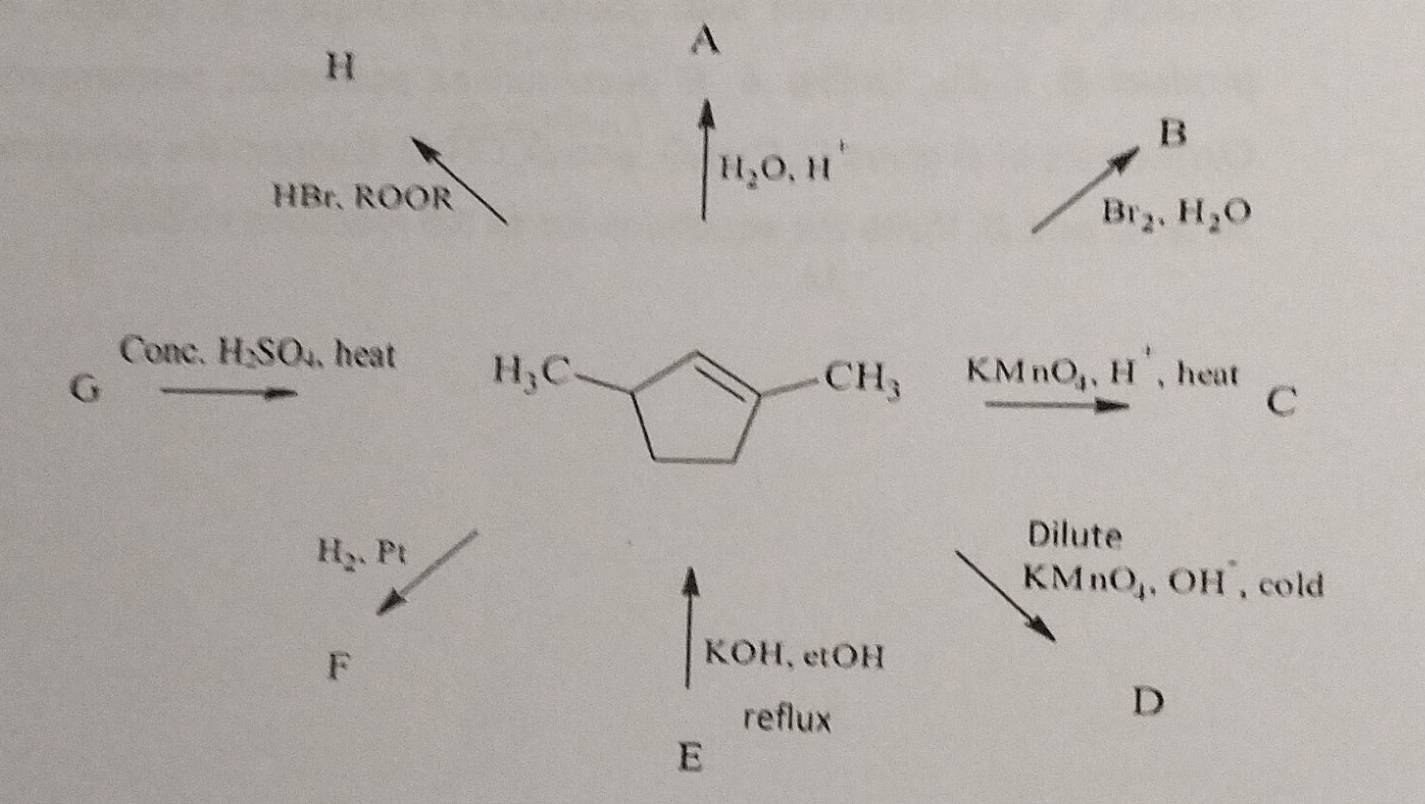 A
B
HBr, ROOR
H_2O,H^+
Br_2.H_2O
Conc. H_2SO_4. heat KMnO_4,H^+ , heat
G
C
H_2.Pt
Dilute
KMnO_4 , O 11 cold
F
KOH 、etOH°6 eflux
D
E