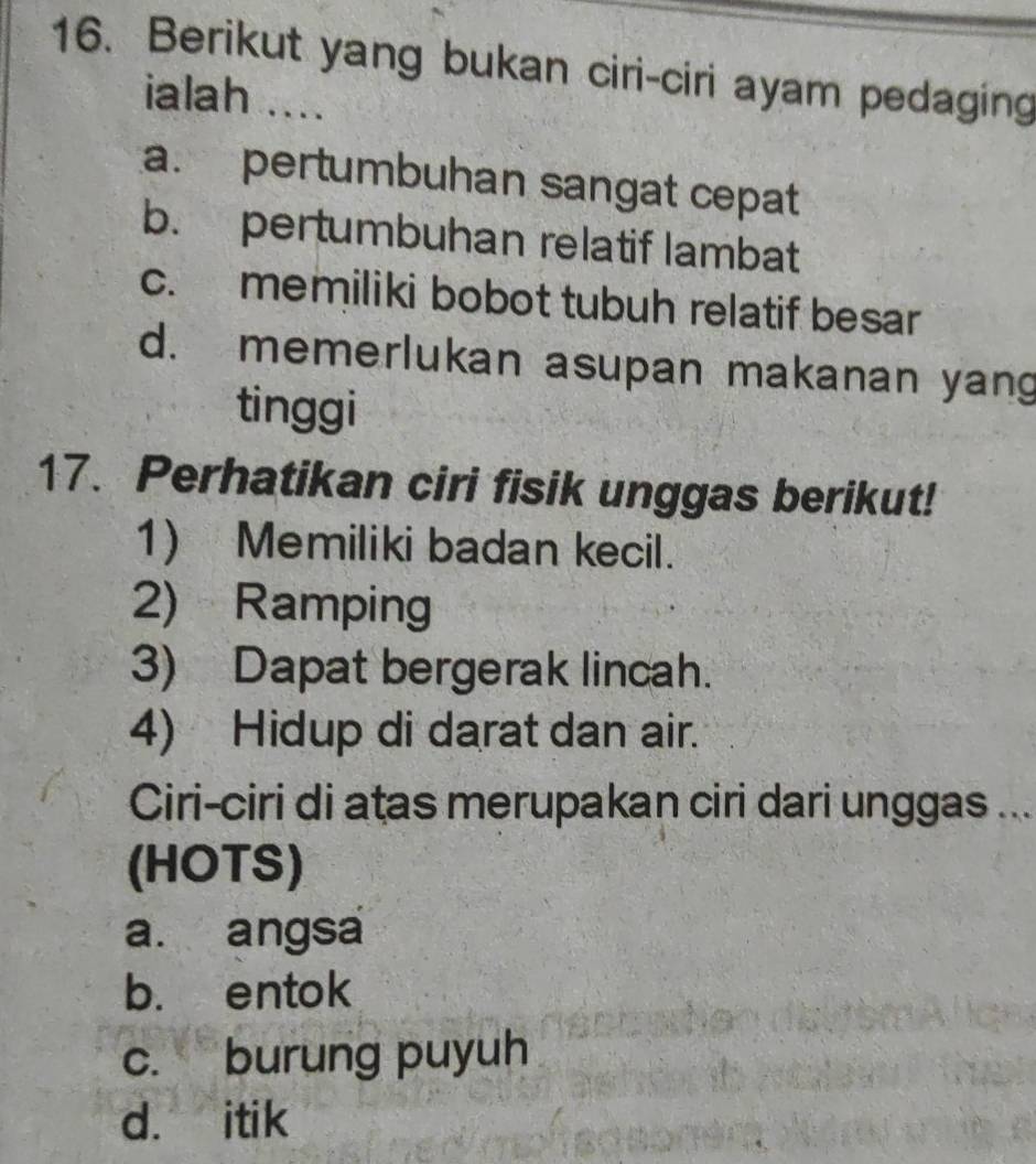 Berikut yang bukan ciri-ciri ayam pedaging
ialah ....
a. pertumbuhan sangat cepat
b. pertumbuhan relatif lambat
c. memiliki bobot tubuh relatif besar
d. memerlukan asupan makanan yang
tinggi
17. Perhatikan ciri fisik unggas berikut!
1) Memiliki badan kecil.
2) Ramping
3) Dapat bergerak lincah.
4) Hidup di darat dan air.
Ciri-ciri di atas merupakan ciri dari unggas ...
(HOTS)
a. angsa
b. entok
c. burung puyuh
d. itik