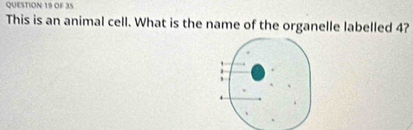 OF 35 
This is an animal cell. What is the name of the organelle labelled 4?