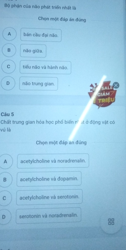 Bộ phận của não phát triển nhất là
Chọn một đáp án đúng
A bán cầu đại não.
B não giữa.
C tiểu não và hành não.
D não trung gian.
sale
GIAM
TRiệU
Câu 5
Chất trung gian hóa học phổ biến n^1 at ở động vật có
vú là
Chọn một đáp án đúng
A acetylcholine và noradrenalin.
B acetylcholine và đopamin.
C acetylcholine và serotonin.
D serotonin và noradrenalin.
□□