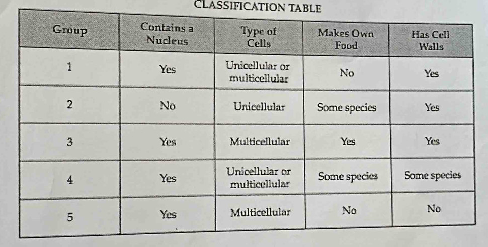 CLASSIFICATION TABLE