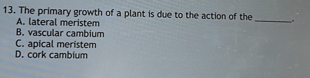The primary growth of a plant is due to the action of the
A. lateral meristem
_.
B. vascular cambium
C. apical meristem
D. cork cambium