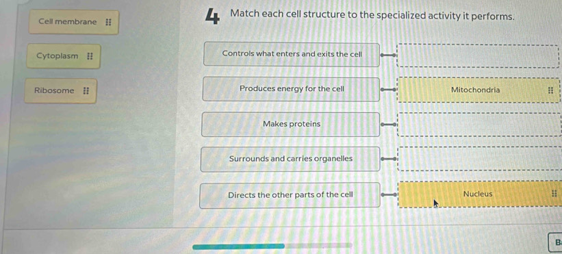 Cell membrane :: 
4 Match each cell structure to the specialized activity it performs. 
Cytoplasm = Controls what enters and exits the cell 
Ribosome = Produces energy for the cell Mitochondria : 
Makes proteins 
Surrounds and carries organelles 
Directs the other parts of the cell Nucleus 
B