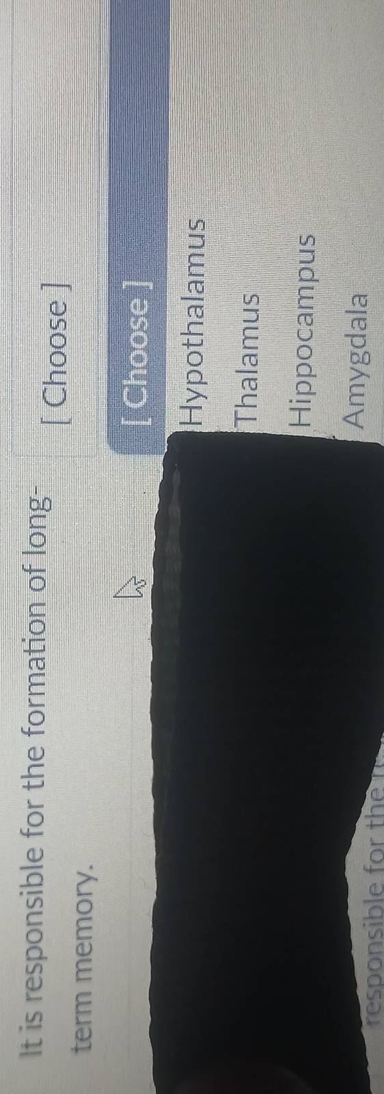 It is responsible for the formation of long-
[ Choose ]
term memory.
[ Choose ]
Hypothalamus
Thalamus
Hippocampus
Amygdala
responsible for the f