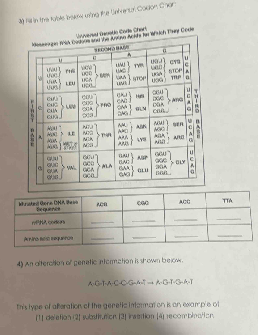 rill in the table below using the Universal Codon Chart 
Universal Genetic Code Chart 
no Acids for Which They Code 
4) An alteration of genetic information is shown below.
A= G=T-A=C=C=G=A-T → A=G-T=G-A=T 
This type of alteration of the genetic information is an example of 
(1) deletion (2) substitution (3) insertion (4) recombination