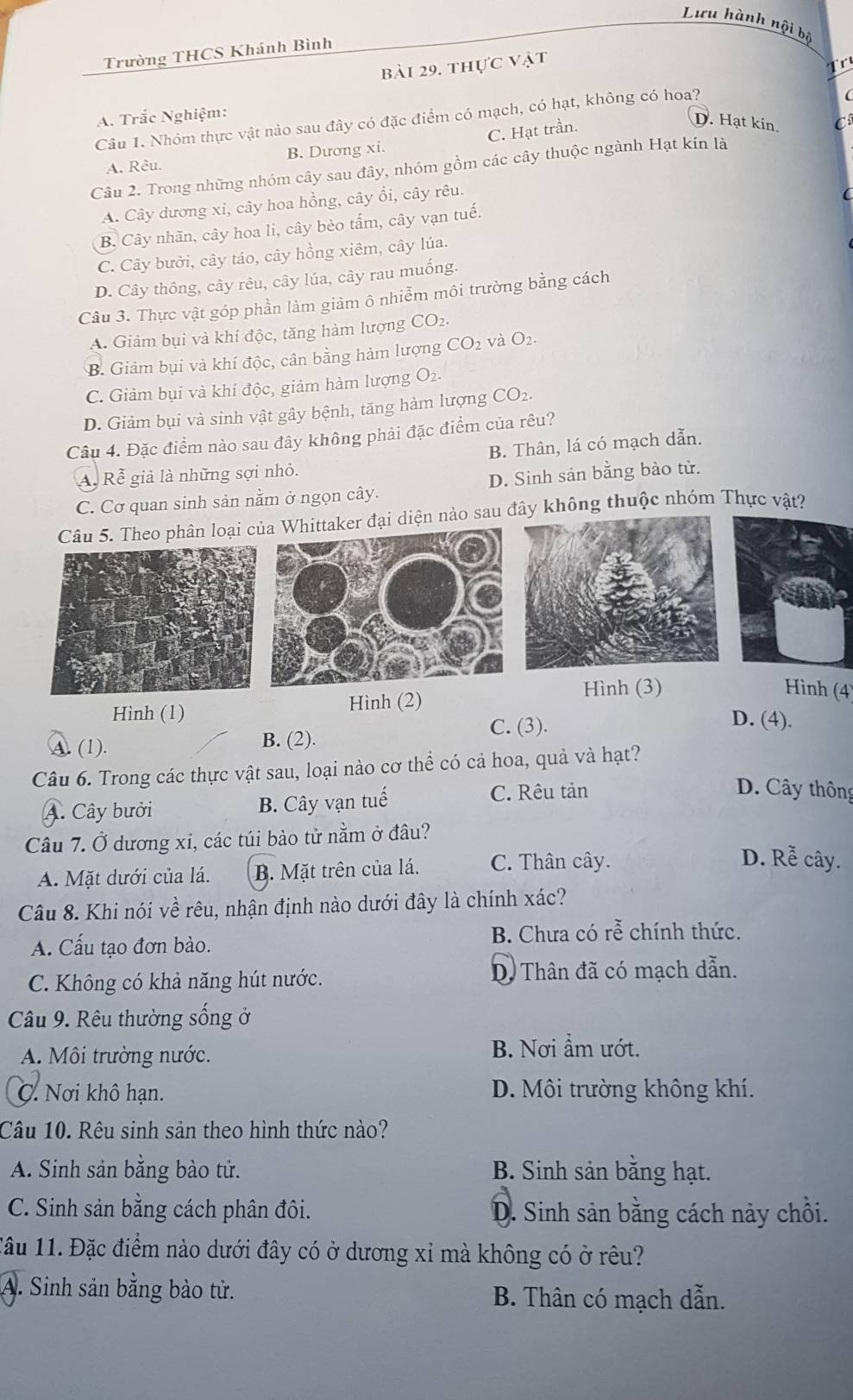 Lưu hành nội bộ
Trường THCS Khánh Bình
bài 29, thực vật
r
A. Trắc Nghiệm:
Câu 1. Nhóm thực vật nào sau đây có đặc điểm có mạch, có hạt, không có hoa?
(
A. Rêu. B. Dương xi. C. Hạt trần.
D. Hạt kin. C
Câu 2. Trong những nhóm cây sau đây, nhóm gồm các cây thuộc ngành Hạt kín là
A. Cây dương xi, cây hoa hồng, cây ổi, cây rêu.
B. Cây nhãn, cây hoa li, cây bèo tấm, cây vạn tuế.
C. Cây bưởi, cây táo, cây hồng xiêm, cây lúa.
D. Cây thông, cây rêu, cây lúa, cây rau muống.
Câu 3. Thực vật góp phần làm giảm ô nhiễm môi trường bằng cách
A. Giảm bụi và khí độc, tăng hàm lượng CO2.
B. Giảm bụi và khí độc, cân bằng hàm lượng CO2 và O2.
C. Giảm bụi và khí độc, giảm hàm lượng O2.
D. Giảm bụi và sinh vật gây bệnh, tăng hàm lượng CO2.
Câu 4. Đặc điểm nào sau đây không phải đặc điểm của rêu?
B. Thân, lá có mạch dẫn.
A. Rể giả là những sợi nhỏ.
C. Cơ quan sinh sản nằm ở ngọn cây. D. Sinh sản bằng bào từ.
Câu 5. Theo phân loại cer đại diện nào sau đây không thuộc nhóm Thực vật?
Hình (1) Hình (2) Hình (3)
Hình (4). (1). B. (2). C. (3).
D. (4).
Câu 6. Trong các thực vật sau, loại nào cơ thể có cả hoa, quả và hạt?
A. Cây bưởi B. Cây vạn tuế C. Rêu tản
D. Cây thông
Câu 7. Ở dương xỉ, các túi bào tử nằm ở đâu?
A. Mặt dưới của lá. B. Mặt trên của lá. C. Thân cây.
D. Rễ cây.
Câu 8. Khi nói về rêu, nhận định nào dưới đây là chính xác?
A. Cấu tạo đơn bào. B. Chưa có rễ chính thức.
C. Không có khả năng hút nước. D. Thân đã có mạch dẫn.
Câu 9. Rêu thường sống ở
A. Môi trường nước.
B. Nơi ẩm ướt.
C. Nơi khô hạn. D. Môi trường không khí.
Câu 10. Rêu sinh sản theo hình thức nào?
A. Sinh sản bằng bào tử. B. Sinh sản bằng hạt.
C. Sinh sản bằng cách phân đôi. D. Sinh sản bằng cách này chồi.
1âu 11. Đặc điểm nào dưới đây có ở dương xỉ mà không có ở rêu?
A. Sinh sản bằng bào tử. B. Thân có mạch dẫn.