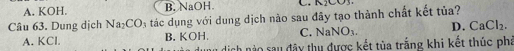 A. KOH. B. NaOH C. A)COJ 
Câu 63. Dung dịch Na_2CO_3 tác dụng với dung dịch nào sau đây tạo thành chất kết tủa?
A. KCl. B. KOH. C. NaNO_3. D. CaCl_2. 
u dịch nào sau đây thu được kết tủa trắng khi kết thúc phá