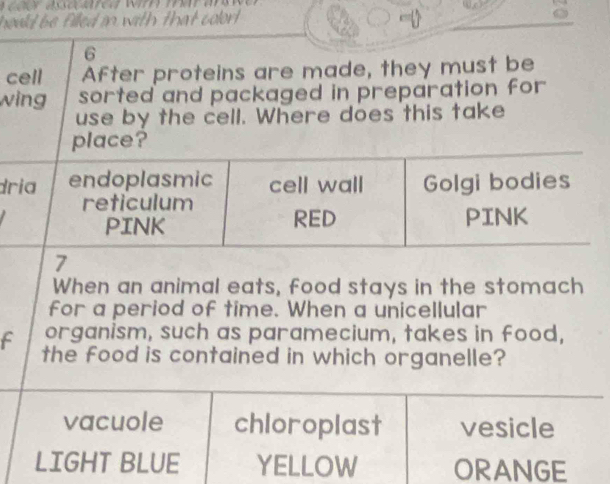 hould be filled in with that colort .
6
cell After proteins are made, they must be
w
á
When an animal eats, food stays in the stomach
for a period of time. When a unicellular
f organism, such as paramecium, takes in food,
the food is contained in which organelle?
vacuole chloroplast vesicle
LIGHT BLUE YELLOW ORANGE