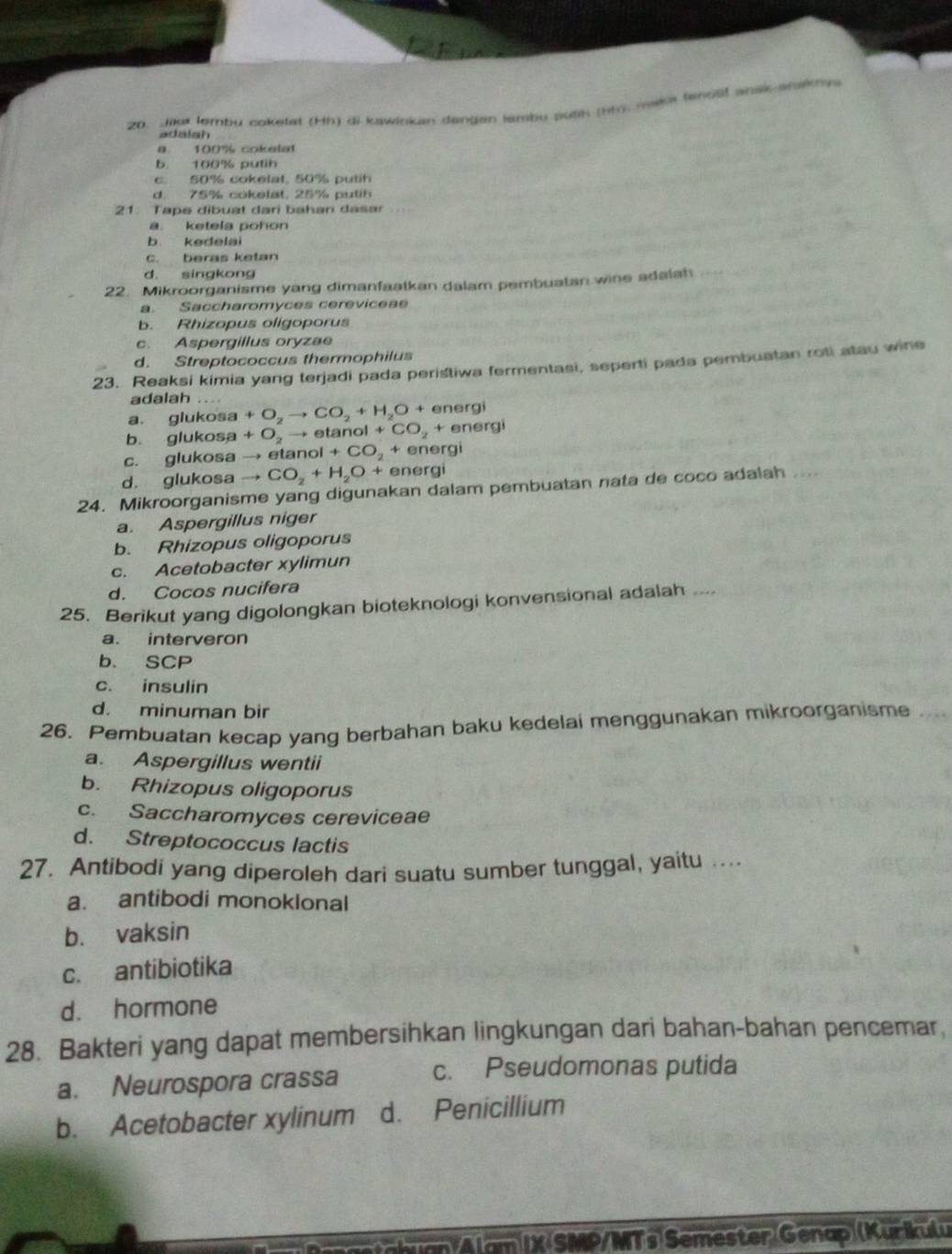 Jikr lembu cokefat (Hh) di kawinkan dengan tamby puak (hr. maka fenost anak arkna
adalah
8. 100% cokelat
b 100% putih
c. 50% cokelal, 50% putih
d. 75% cokelat. 25% putih
21 Tape dibuat dari bahan dasar
a. ketela pohon
b kedelai
c. beras ketan
d. singkong
22. Mikroorganisme yang dimanfaatkan dalam pembuatan wine adalah
a. Saccharomyces cereviceae
b. Rhizopus oligoporus
c. Aspergillus oryzae
d. Streptococcus thermophilus
23. Reaksi kimia yang terjadi pada perištiwa fermentasi, seperti pada pembuatan roti atau wine
adalah
a. glukosa +O_2to CO_2+H_2O+ energi
b glukosa +O_2to etar _10I+CO_2 + energi
c. glukosa → etan ol+CO_2 + energi
d. glukosa CO_2+H_2O+ energi
24. Mikroorganisme yang digunakan dalam pembuatan nata de coco adalah .....
a. Aspergillus niger
b. Rhizopus oligoporus
c. Acetobacter xylimun
d. Cocos nucifera
25. Berikut yang digolongkan bioteknologi konvensional adalah ....
a. interveron
b. SCP
c. insulin
d. minuman bir
26. Pembuatan kecap yang berbahan baku kedelai menggunakan mikroorganisme
a. Aspergillus wentii
b. Rhizopus oligoporus
c. Saccharomyces cereviceae
d. Streptococcus lactis
27. Antibodi yang diperoleh dari suatu sumber tunggal, yaitu ...
a. antibodi monoklonal
b. vaksin
c. antibiotika
d. hormone
28. Bakteri yang dapat membersihkan lingkungan dari bahan-bahan pencemar,
a. Neurospora crassa c. Pseudomonas putida
b. Acetobacter xylinum d. Penicillium
Alam IX SMP/MTs Semester Genap (Kurikulu