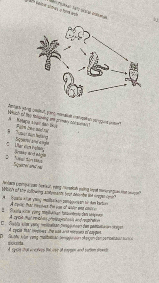 gam below shows a food web
Meniunjukkan satu siratan makanan
SUI
Antara yang berikut, yang manakah merupakan pengguna primer?
Which of the following are primary consumers?
A Kelapa sawit dan tikus
Paim tree and rat
B Tupai dan helang Squirrel and eagle
C Ular dan helang
Snake and eagle
D Tupai dạn likus
Squirrel and ral
Antara pernyataan berikut, yang manakah paling tepal menerangkan kitar oksigen?
Which of the following statements best describe the oxygen cycle?
A Suatu kitar yang melibatkan penggunaan air dan karbion.
A cycle that invulves the use of water and cartion
8 Suatu kitar yang melibatkan fotosintesis dan respirasi
A cycle that involves photosynthesis and respiration.
C Suatu kilar yang melibalkan penggunaan dan pembebasan oksigen
A cycle that involves the use and releases of oxygen
D Suatu kitär yang melibätkan penggunaan oksigen dan pembebasan kamor
dioksida.
A cycle that involves the use of exygen and cartion dioxide