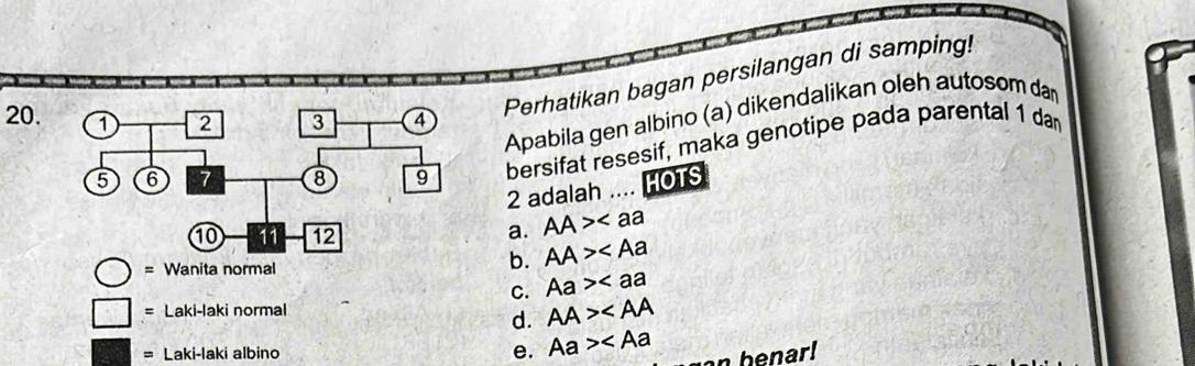 Apabila gen albino (a) dikendalikan oleh autosom da
20.
Perhatikan bagan persilangan di samping!
bersifat resesif, maka genotipe pada parental 1 dan
2 adalah .... HOTS
a. AA>
= Wanita normal
b. AA>
C. Aa>
= Laki-laki normal
d. AA>
= Laki-laki albino e. Aa> n benar!