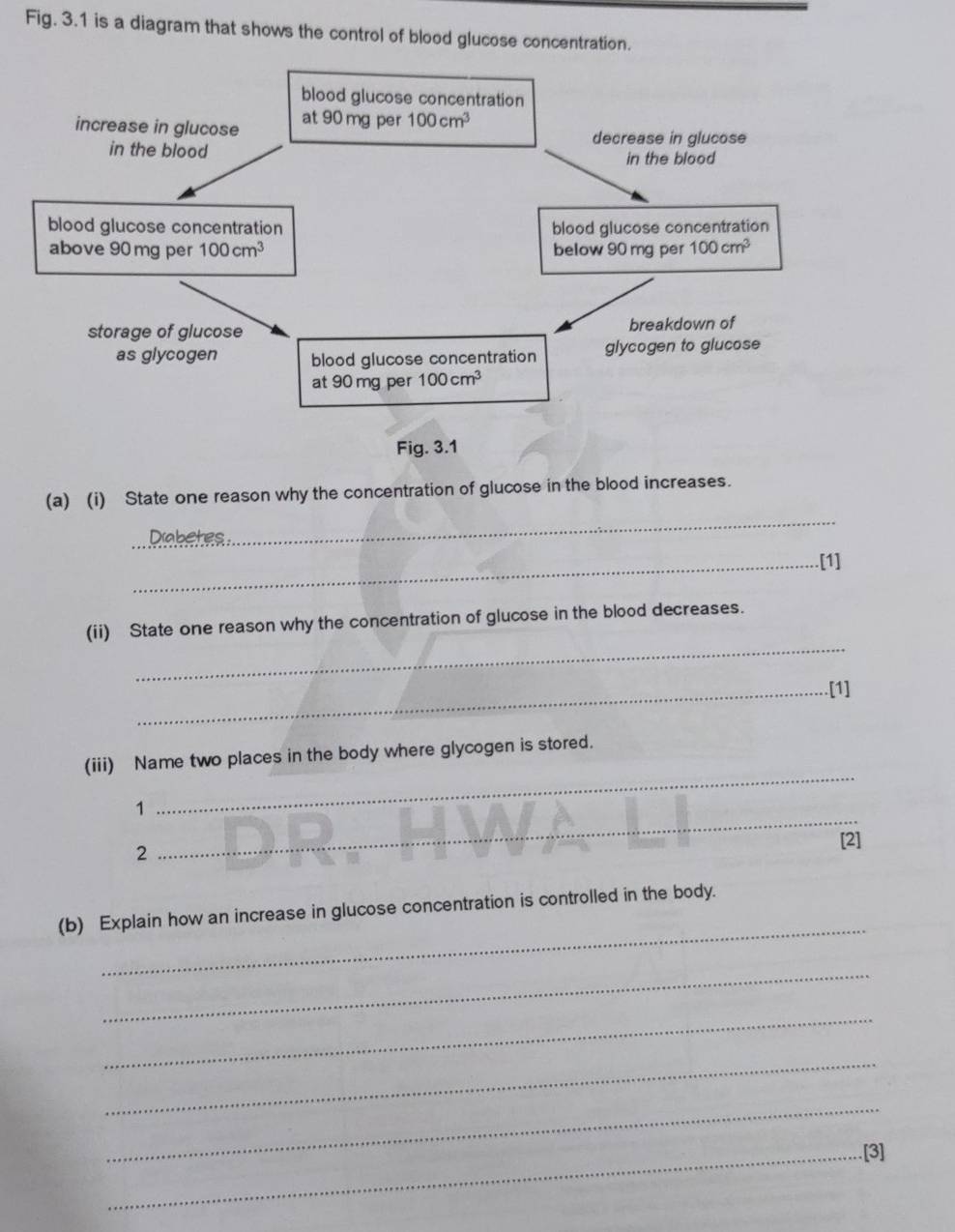 Fig. 3.1 is a diagram that shows the control of blood glucose concentration.
_
(a) (i) State one reason why the concentration of glucose in the blood increases.
_Diabetes
_[1]
_
(ii) State one reason why the concentration of glucose in the blood decreases.
_[1]
(iii) Name two places in the body where glycogen is stored.
_
1
_
2
[2]
_
(b) Explain how an increase in glucose concentration is controlled in the body.
_
_
_
_
_[3]