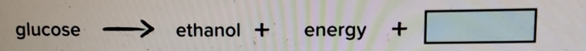 glucose ethanol + energy +□