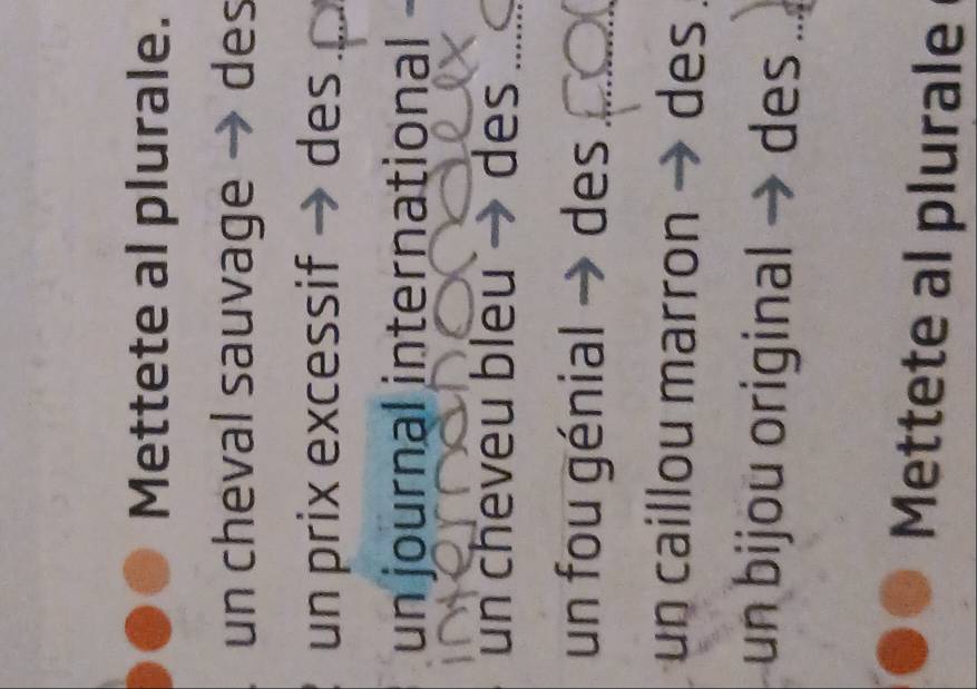 Mettete al plurale. 
un cheval sauvage → des 
un prix excessif des _ 
un journal international 
un cheveu bleu des_ 
un fou génial → des_ 
un caillou marron → des . 
un bijou original des_ 
Mettete al plurale