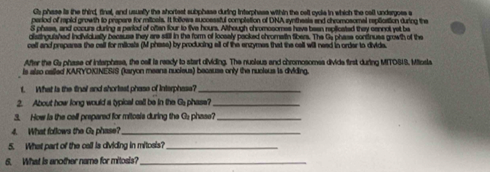 Gs phase is the third, final, and usually the shortest subphase during interphass within the cell cycle in which the call undergoss s 
pariod of rapid growth to prapare for mitcals. It follows successful complation of DNA synthesis and chromosomal replication during the 
S phase, and cccurs during a period of often four to five hours. Although chromosomes have been replicated they cannot yet be 
diszinguished individually because they are still in the form of loosely packed chromatin fibers. The Ge phase continues growth of the 
call and prepares the call for milcais (M phase) by producing all of the enzymes that the call will need in order to divide. 
After the Ga phase of interphase, the call is ready to start dividing. The nusieus and chromosomes divide first during MITOSIS. Miiosla 
is also called KARYOKINESIS (karyon means nucieus) because only the nucieus is dividing. 
f. What is the tinal and shortest phase of Interphase?_ 
2. About how long would a typical call be in the Ga phase?_ 
3. How is the cell prepared for mitosis during the G_2 phase?_ 
4. What follows the G2 phase?_ 
5. What part of the call is dividing in mitosis?_ 
6. What is another name for mitosis?_