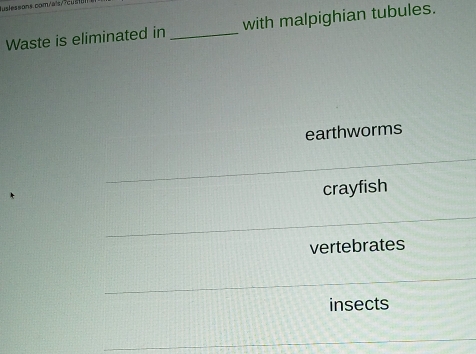 Waste is eliminated in _with malpighian tubules.
earthworms
crayfish
vertebrates
insects