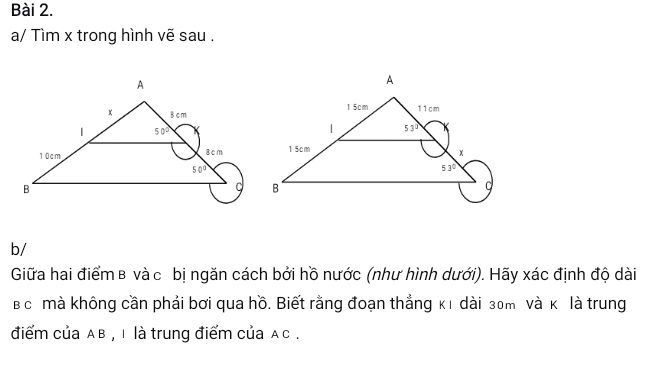 a/ Tìm x trong hình vẽ sau .
b/
Giữa hai điểm в và c bị ngăn cách bởi hồ nước (như hình dưới). Hãy xác định độ dài
в c mà không cần phải bơi qua hồ. Biết rằng đoạn thẳng κı dài 30m và κ là trung
điểm của AB , i là trung điểm của Ac .