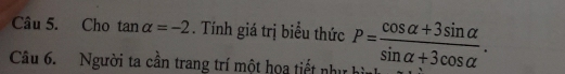 Cho tan alpha =-2. Tính giá trị biểu thức 
Câu 6. Người ta cần trang trí một họa tiết như hình P= (cos alpha +3sin alpha )/sin alpha +3cos alpha  .