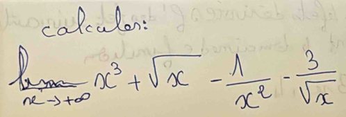 colculon:
limlimits _xto +∈fty x^3+sqrt(x)- 1/x^2 - 3/sqrt(x) 