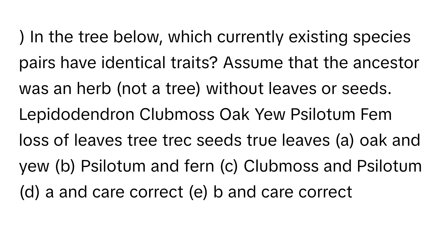 ) In the tree below, which currently existing species pairs have identical traits? Assume that the ancestor was an herb (not a tree) without leaves or seeds. Lepidodendron Clubmoss Oak Yew Psilotum Fem loss of leaves tree trec seeds true leaves (a) oak and yew (b) Psilotum and fern (c) Clubmoss and Psilotum (d) a and care correct (e) b and care correct