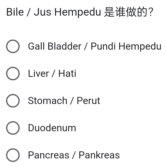 Bile / Jus Hempedu ？
Gall Bladder / Pundi Hempedu
Liver / Hati
Stomach / Perut
Duodenum
Pancreas / Pankreas