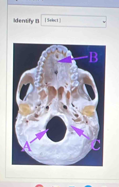 Identify B [ Select ]