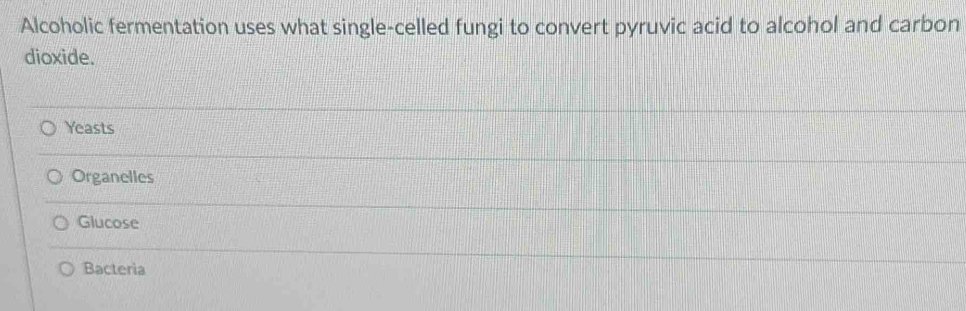 Alcoholic fermentation uses what single-celled fungi to convert pyruvic acid to alcohol and carbon
dioxide.
Yeasts
Organelles
Glucose
Bacteria