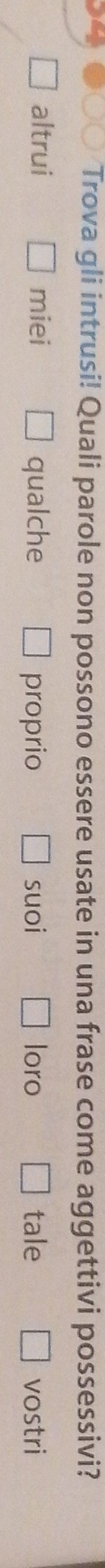 Trova gli intrusi! Quali parole non possono essere usate in una frase come aggettivi possessivi?
altrui miei qualche proprio suoi loro tale vostri