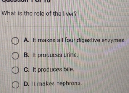 What is the role of the liver?
A. It makes all four digestive enzymes.
B. It produces urine.
C. It produces bile.
D. It makes nephrons.