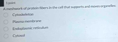 A meshwork of protein fibers in the cell that supports and moves organelles:
Cytoskeleton
Plasma membrane
Endoplasmic reticulum
Cytosol