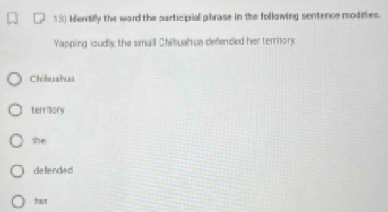 Identilly the word the participial phrase in the following sentence modifies.
Yapping loudly the small Chituahua defenced her territor
Chihuahua
territory
the
defended
hair