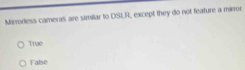 Mirrorless cameras are similar to DSLR, except they do not feature a mirror
True
False