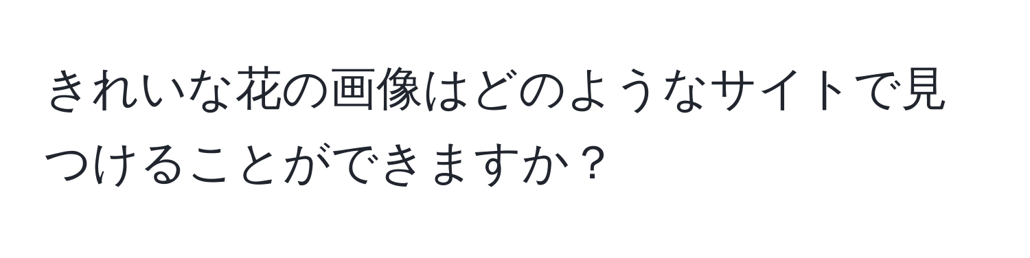 きれいな花の画像はどのようなサイトで見つけることができますか？