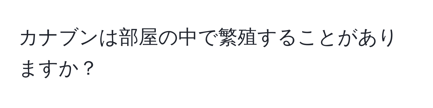 カナブンは部屋の中で繁殖することがありますか？