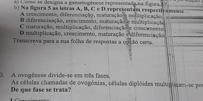 Como se designa a gametogénese representada na figura 5?
b) Na figura 5 as letras A, B, C e D representam respectivamente…
A crescimento, diferenciação, maturação e multiplicação
B diferenciaação, crescimento, maturação e multiplicação.
C maturação, multiplicação, diferenciação e crescimento,
D multiplicação, crescimento, maturação e diferenciação
Transcreva para a sua folha de respostas a opção certa.
D. A ovogénese divide-se em três fases.
As células chamadas de ovogónias, células diplóides multiplicam-se por
De que fase se trata?