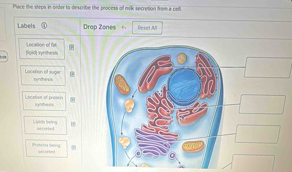 Solved: Place the steps in order to describe the process of milk ...