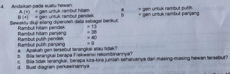 Andaikan pada suatu hewan
A(+)= gen untuk rambut hitam
B(+)= gen untuk rambut pendek b = gen untuk rambut putih 
= 
Sewaktu diuji silang diperoïeh data sebagai berikut: gen untuk rambut panjang 
Rambut hitam pendek =13
Rambut hitam panjang =38
Rambut putih pendek =40
Rambut putih panjang =9
a. Apakah gen tersebut terangkai atau tidak? 
b. Bila terangkai berapa Frekwensi rekombinannya? 
c. Bila tidak terangkai, berapa kira-kira jumlah seharusnya dari masing-masing hewan tersebut? 
d. Buat diagram perkawinannya