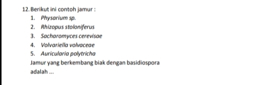 Berikut ini contoh jamur : 
1. Physarium sp. 
2. Rhizopus stoloniferus 
3. Sacharomyces cerevisae 
4. Volvariella volvaceae 
5. Auricularia polytricha 
Jamur yang berkembang biak dengan basidiospora 
adalah ...