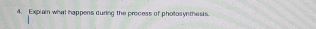 Explain what happens during the process of photosynthesis.