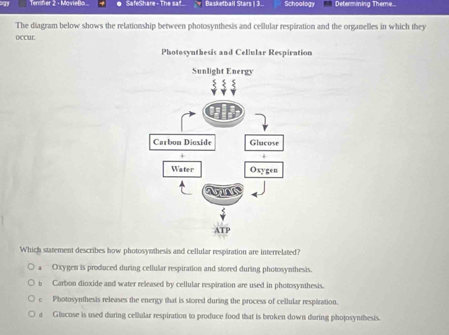 ogy Terrifier 2 - MovieBo SafeShare - The saf. Basketball Stars | 3... Schoology Determining Theme..
The diagram below shows the relationship between photosynthesis and cellular respiration and the organelles in which they
occur
Photosynthesis and Cellular Respiration
Which statement describes how photosynthesis and cellular respiration are interrelated?
a Oxygen is produced during cellular respiration and stored during photosynthesis.
6 Carbon dioxide and water released by cellular respiration are used in photosynthesis.
c Photosynthesis releases the energy that is stored during the process of cellular respiration.
d Glucose is used during cellular respiration to produce food that is broken down during photosynthesis.