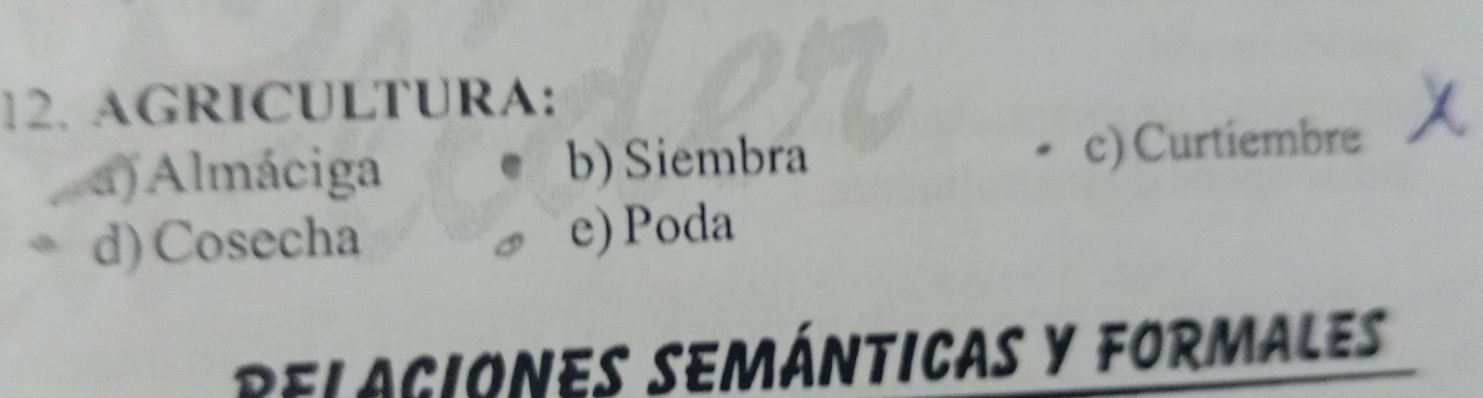 AGRICULTURA:
a) Almáciga b) Siembra c) Curtiembre X
d) Cosecha e) Poda
RELAGIONES SEMÁNTICAS Y FORMALES