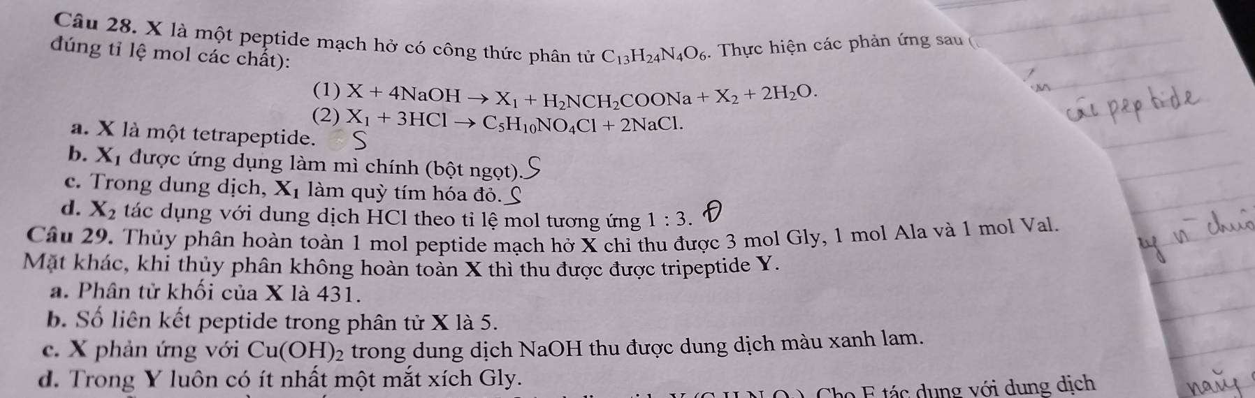 là một peptide mạch hở có công thức phân tử C_13H_24N_4O_6. Thực hiện các phản ứng sau 
dúng tỉ lệ mol các chất):
(1) X+4NaOHto X_1+H_2NCH_2COONa+X_2+2H_2O. 
(2) X_1+3HClto C_5H_10NO_4Cl+2NaCl.
a. X là một tetrapeptide.
b. Xỉ được ứng dụng làm mì chính (bột ngọt).
c. Trong dung dịch, Xỉ làm quỳ tím hóa đỏ. £
d. X_2 tác dụng với dung dịch HCl theo ti lệ mol tương ứng 1:3. 
Câu 29. Thủy phân hoàn toàn 1 mol peptide mạch hở X chỉ thu được 3 mol Gly, 1 mol Ala và 1 mol Val.
Mặt khác, khi thủy phân không hoàn toàn X thì thu được được tripeptide Y.
a. Phân tử khối của X là 431.
b. Số liên kết peptide trong phân tử X là 5.
c. X phản ứng với Cu(OH)_2 trong dung dịch NaOH thu được dung dịch màu xanh lam.
d. Trong Y luôn có ít nhất một mắt xích Gly.
2 E tá c dung với dung dịch