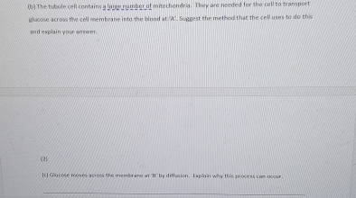 The tabule cell centains a lage number of mitochondria. They are needed for the cell to fransport 
ghicose across the cell membrane into the blood at 'A'. Suggest the method that the cell uses to do this 
and explain your answer. 
(2 
[c] G'ycose moves across the membrane at "I" by diffusion. Explain why this process cas occur. 
_