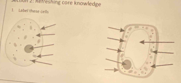 Jection 2: Refreshing core knowledge 
1. Label these cells