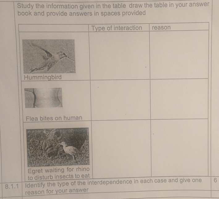 Study the information given in the table draw the table in your answer 
book and provide answers in spaces provided
8.6
reason for your answer