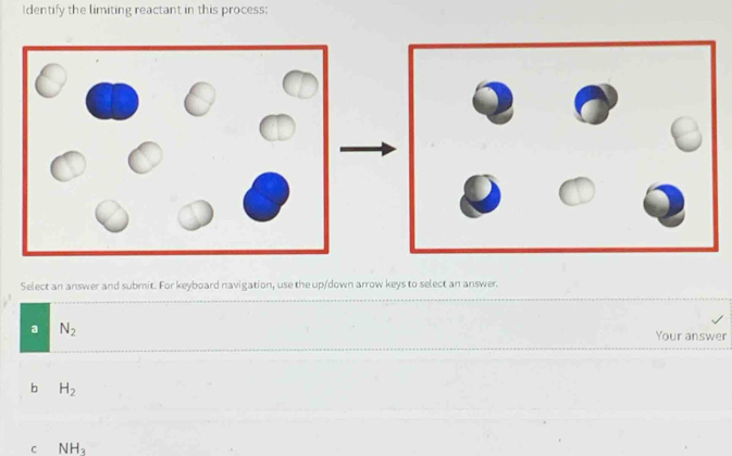 Identify the limiting reactant in this process:
Select an answer and submit. For keyboard navigation, use the up/down arrow keys to select an answer.
N_2 Your answer
b H_2
C NH_3