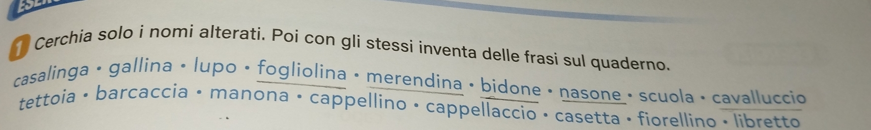 Cerchia solo i nomi alterati. Poi con gli stessi inventa delle frasi sul quaderno. 
casalinga • gallina • lupo • fogliolina • merendina • bidone • nasone • scuola • cavalluccio 
tettoia • barcaccia • manona • cappellino • cappellaccio • casetta • fiorellino • libretto