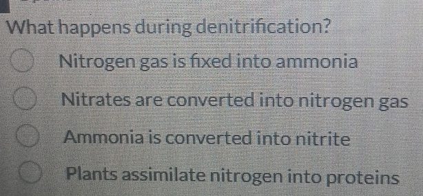 What happens during denitrifcation?
Nitrogen gas is fixed into ammonia
Nitrates are converted into nitrogen gas
Ammonia is converted into nitrite
Plants assimilate nitrogen into proteins